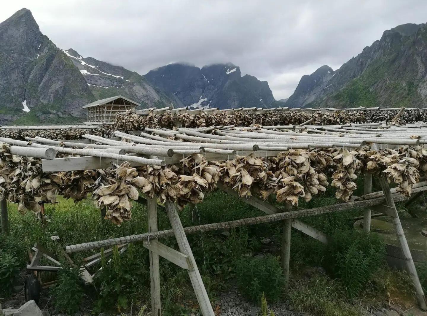 Lofoten Panoramic Luxury Home With Sauna Moskenes Luaran gambar